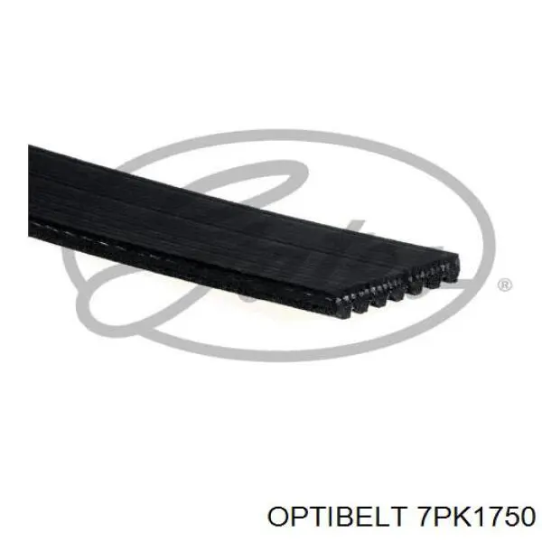 7PK1750 Optibelt