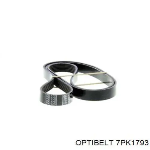 Ремень генератора 7PK1793 Optibelt