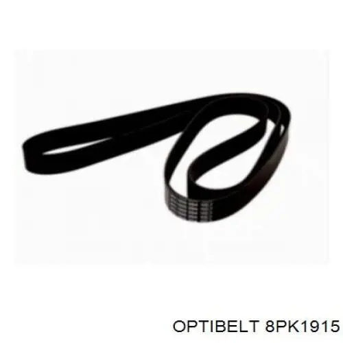 Клиновый ремень Optibelt 8PK1915 цена, от 18.88 USD