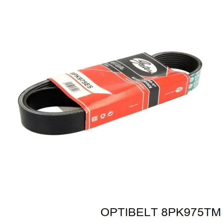 Ремень генератора 8PK975TM Optibelt