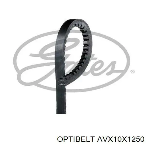 AVX10X1250 Optibelt