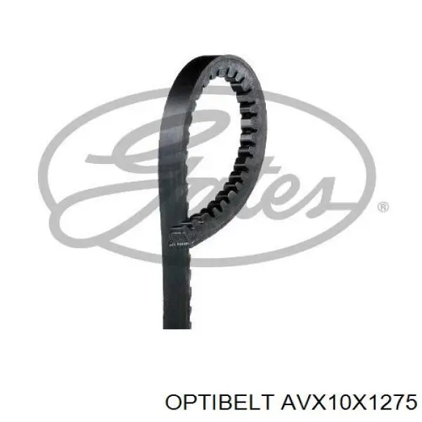 AVX10X1275 Optibelt ремень генератора