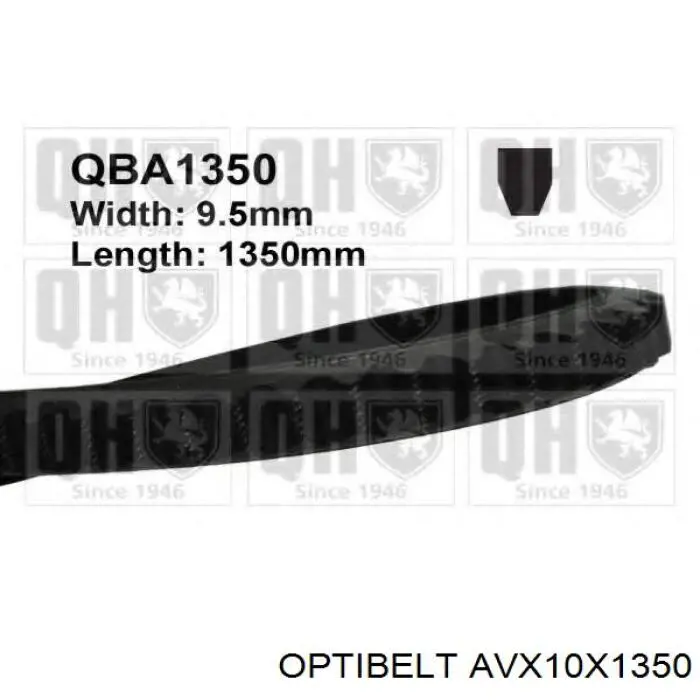 AVX10X1350 Optibelt