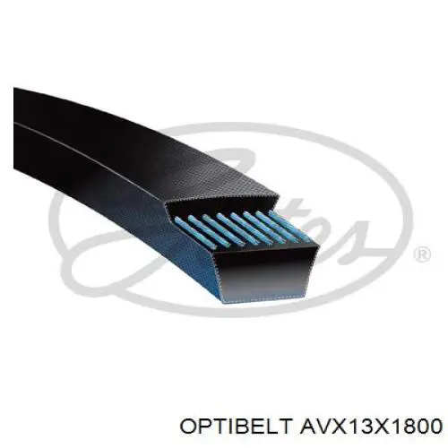 Клиновый ремень Optibelt AVX13X1800 цена, от 11.86 USD