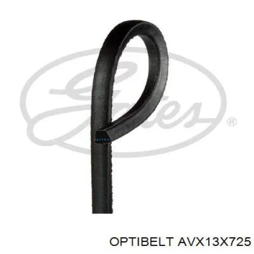 AVX13X725 Optibelt correia dos conjuntos de transmissão