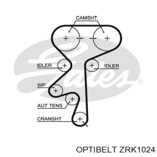 ZRK1024 Optibelt