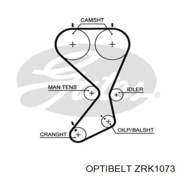 ZRK 1073 Optibelt ремень грм