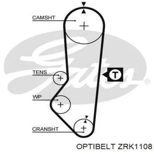 Correa de distribución ZRK1108 Optibelt