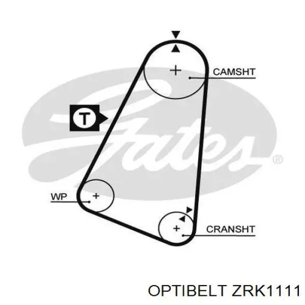 Correa distribucion ZRK1111 Optibelt