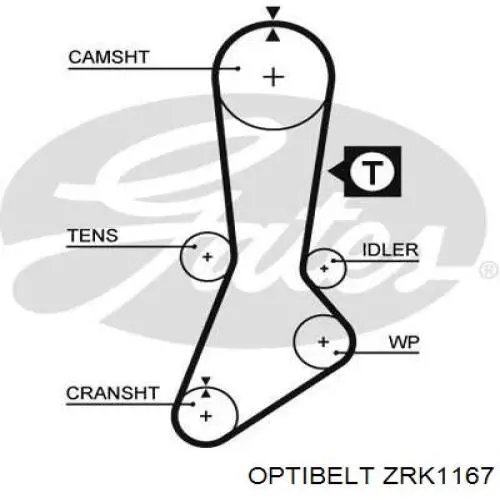 Ремень ГРМ ZRK1167 Optibelt