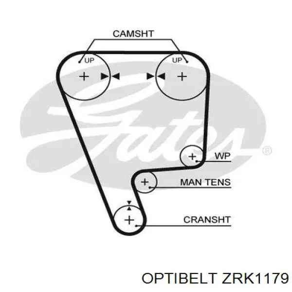 ZRK1179 Optibelt