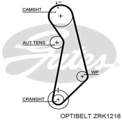 ГРМ ремни Optibelt ZRK1216