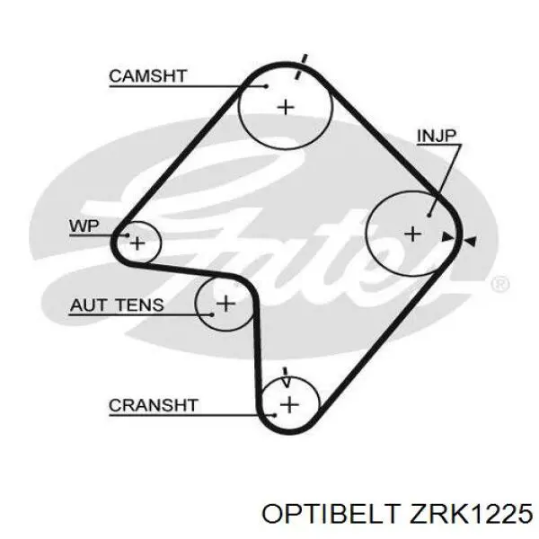 ZRK1225 Optibelt ремень грм