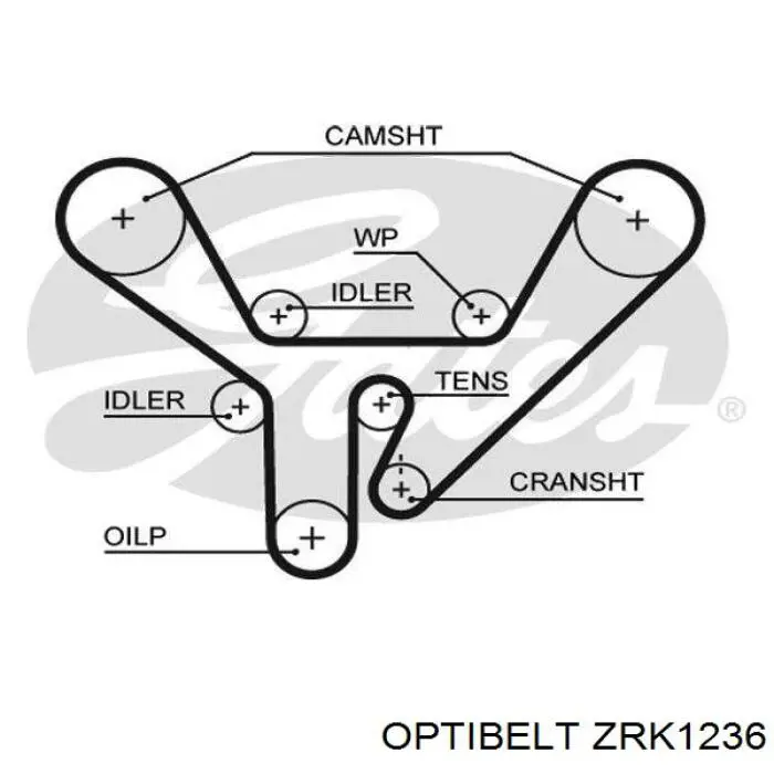 ZRK1236 Optibelt ремень грм
