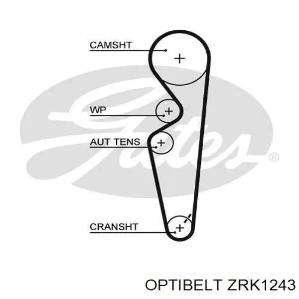 ZRK1243 Optibelt ремень грм