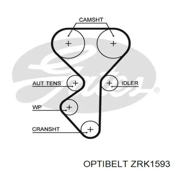 ZRK1593 Optibelt ремень грм