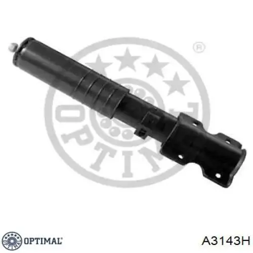 RS230803 Raiso Стойка передняя