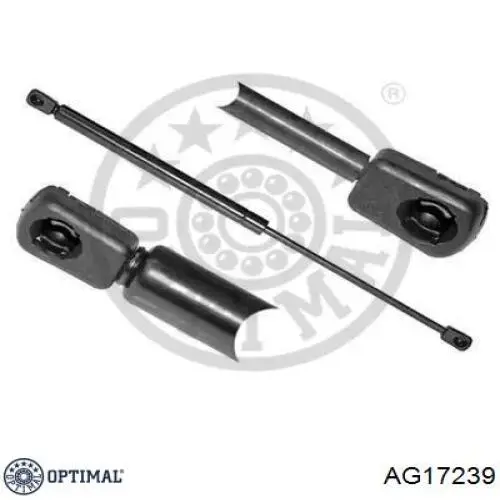 Купить Амортизатор багажника Фиат Браво I 182