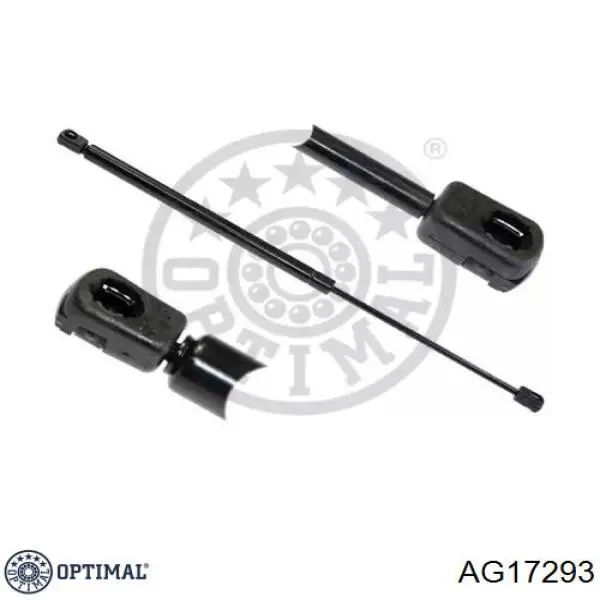 Амортизатор багажника 6025101952 Renault (RVI)