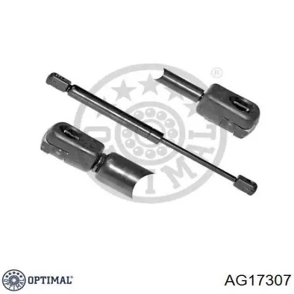Амортизатор задней двери Magneti Marelli GS0273 цена, от 13.29 USD