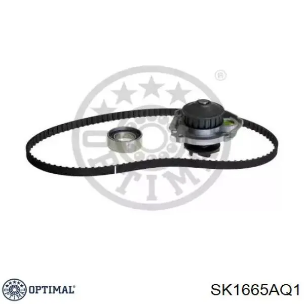 Комплект ГРМ SK1665AQ1 Optimal