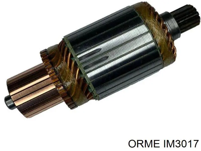 IM3017 Orme induzido (rotor do motor de arranco)