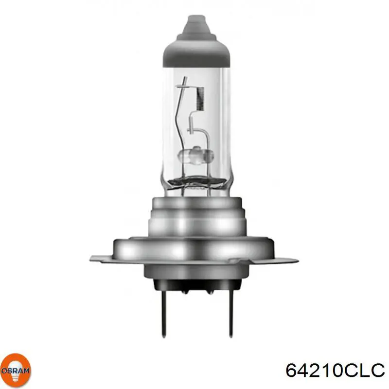 Купить 64210CLC Osram Лампочка галогенная