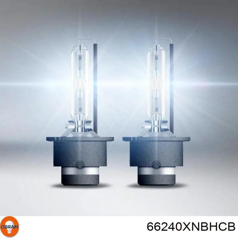 Купить 66240XNBHCB Osram Лампочка ксеноновая