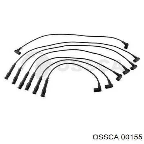 00155 Ossca
