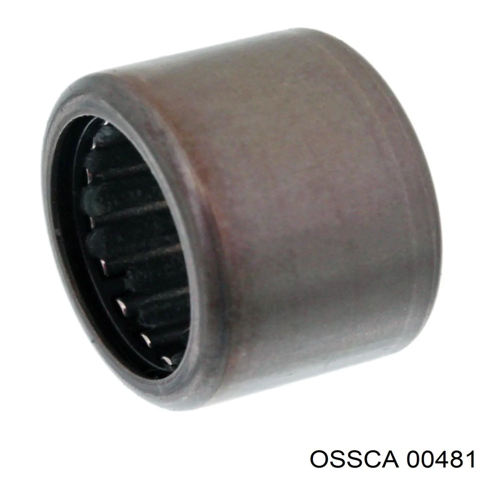 00481 Ossca