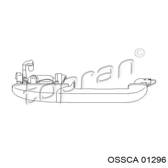 01296 Ossca