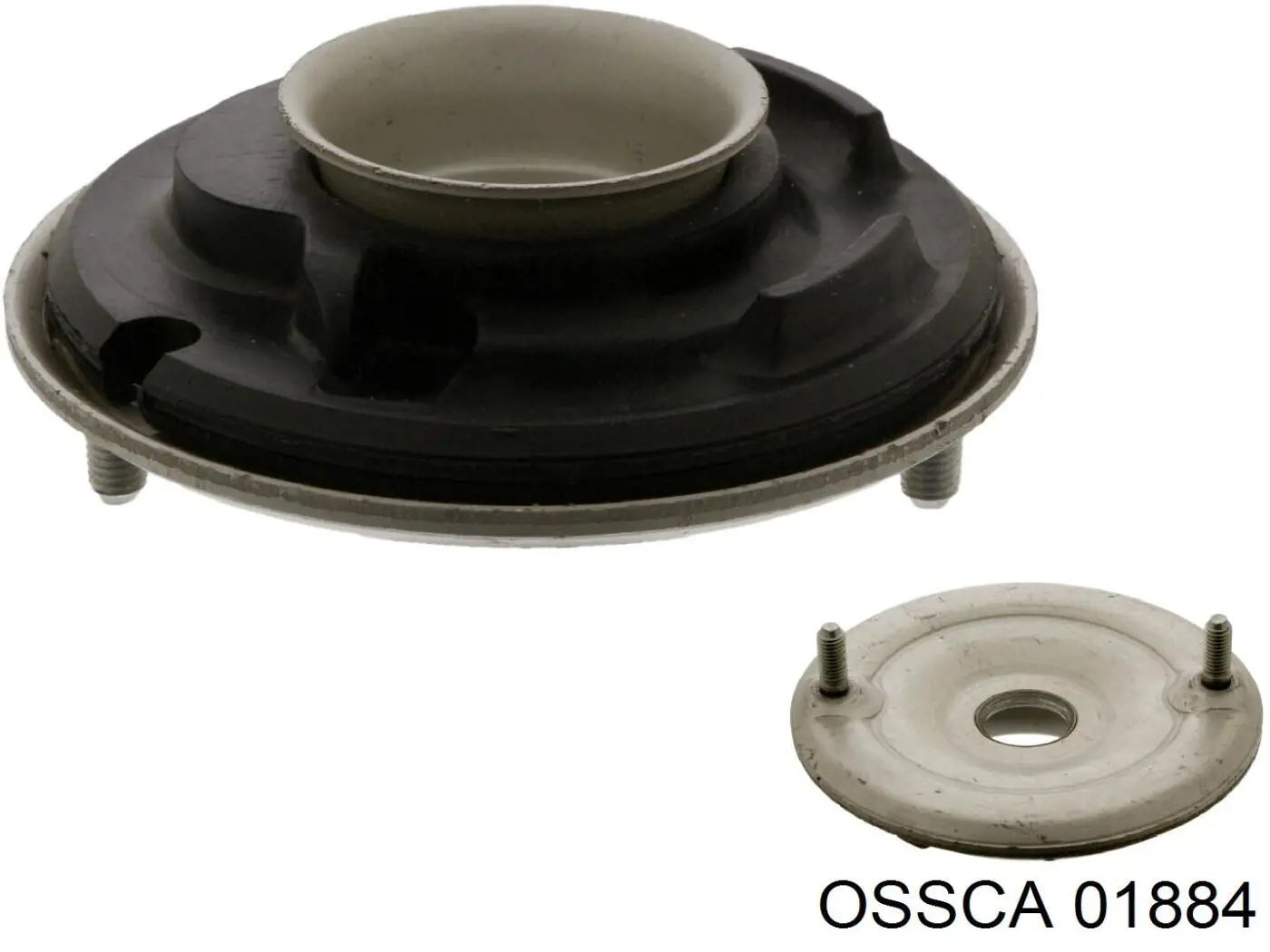 01884 Ossca