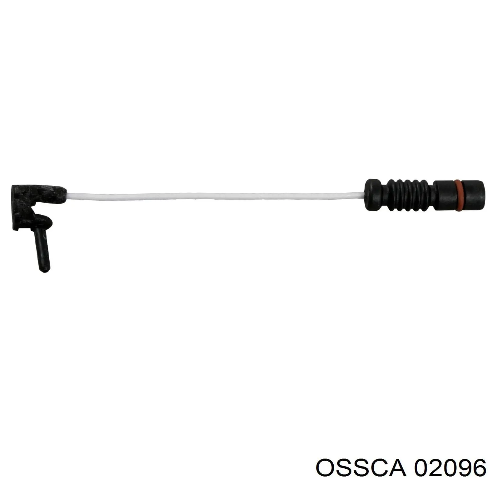  02096 Ossca