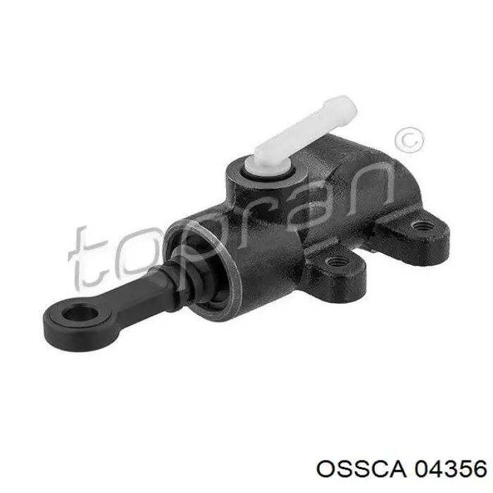 04356 Ossca