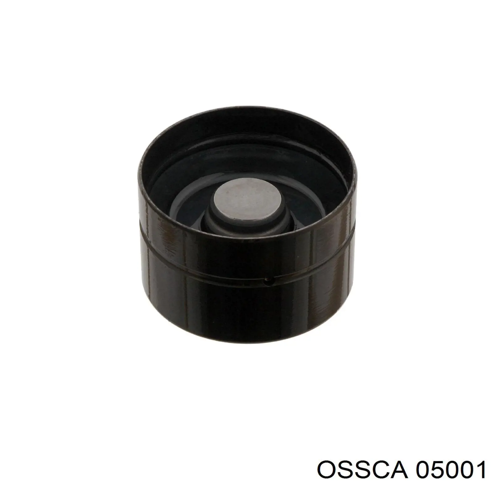 05001 Ossca