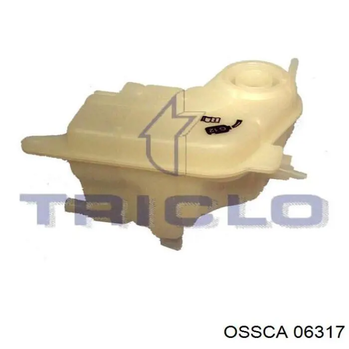 06317 Ossca