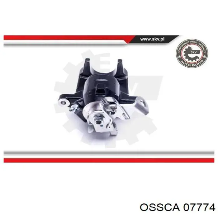 07774 Ossca