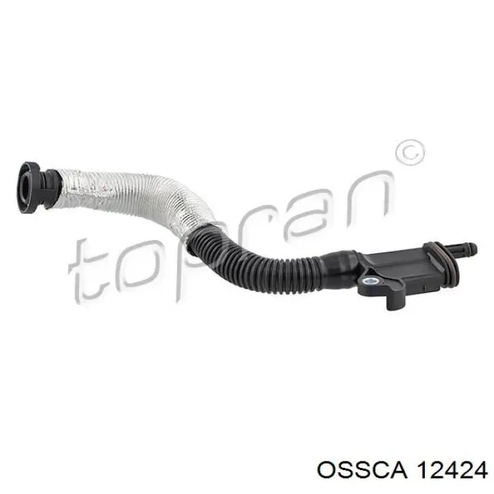 12424 Ossca