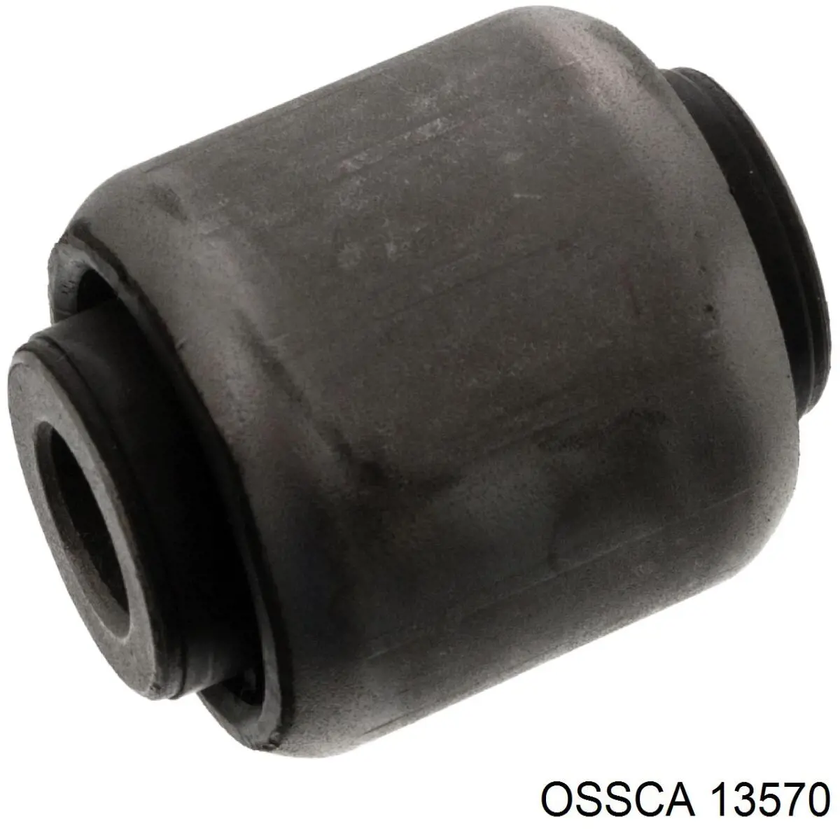 13570 Ossca