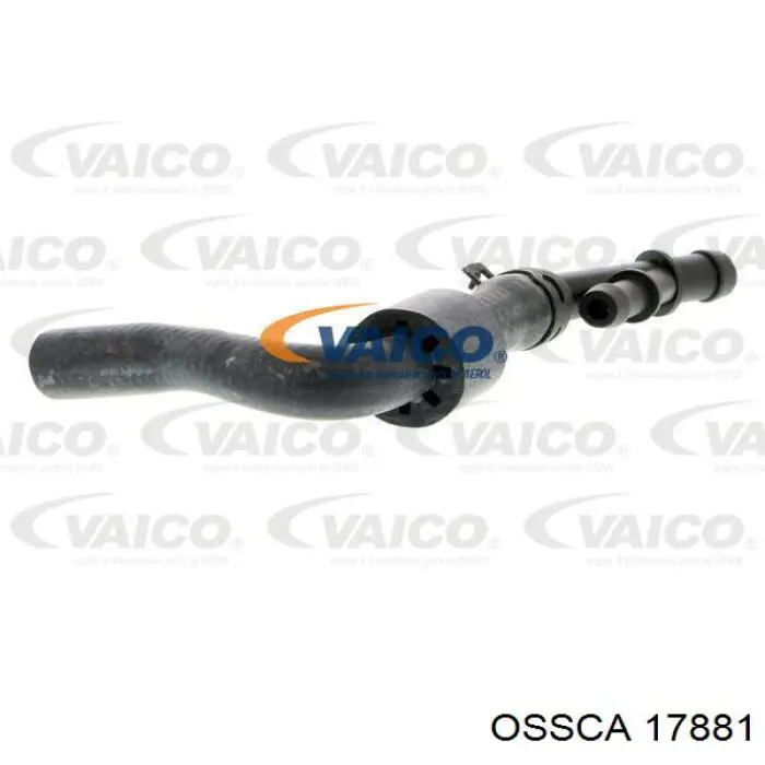 17881 Ossca