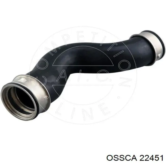 22451 Ossca