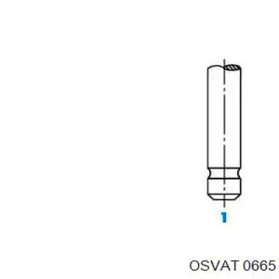 0665 Osvat клапан впускной