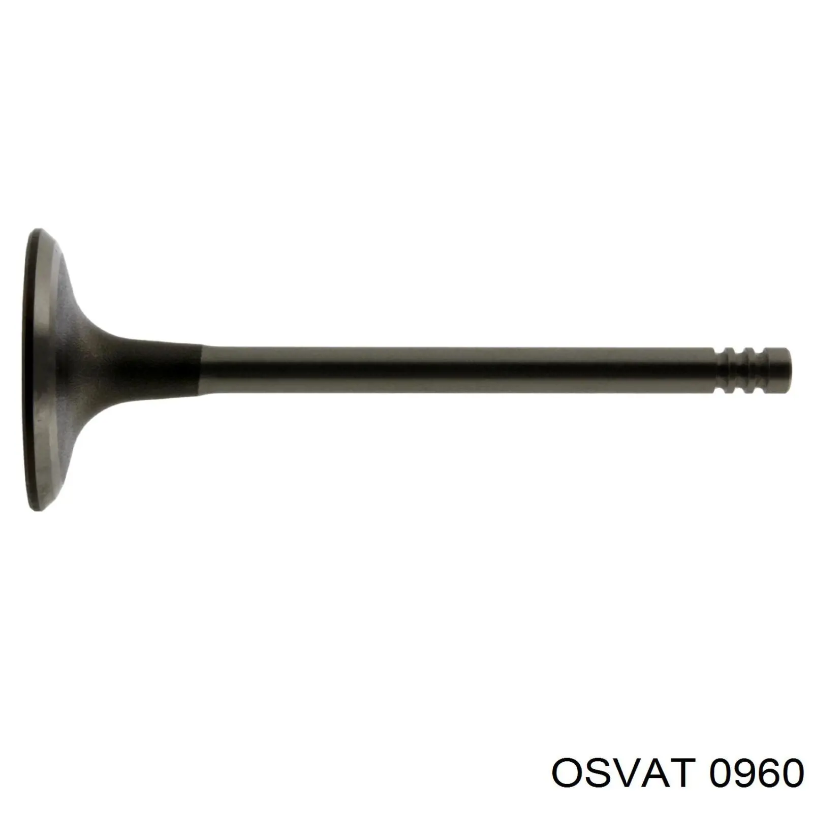 Клапан впускной BMW 11341706631 цена, от 8.55 USD