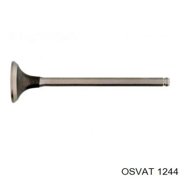 Купить 3104006 Intervalves Выпускной клапан