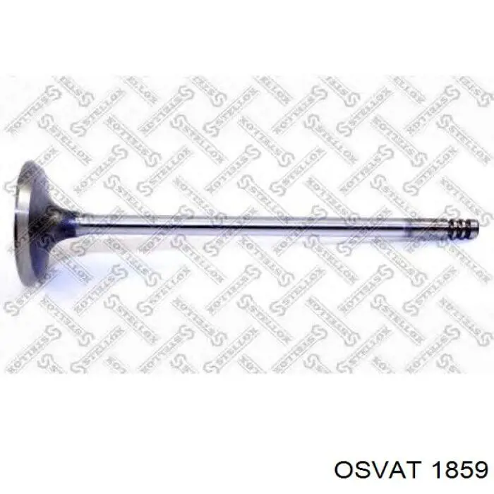 6051SCR Freccia Впускной клапан