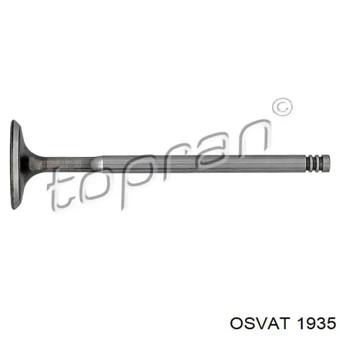 Купить 1072048 Ford Впускной клапан