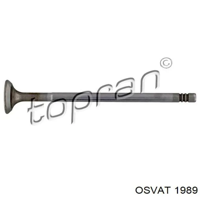 Купить FR6304 Freccia Впускной клапан