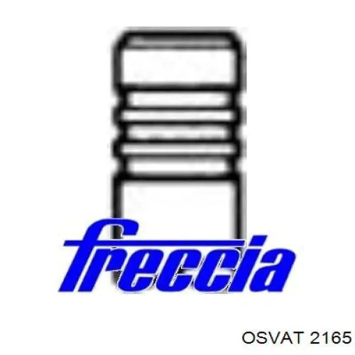 Купить FR6397 Freccia Впускной клапан