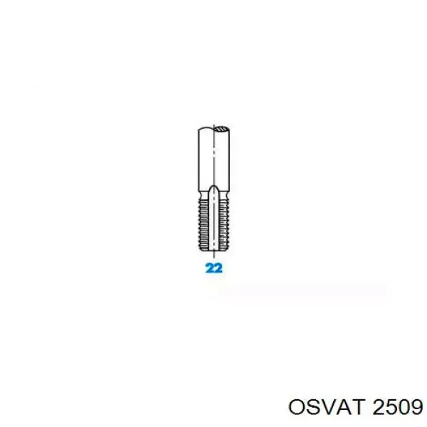 2509 Osvat клапан впускной