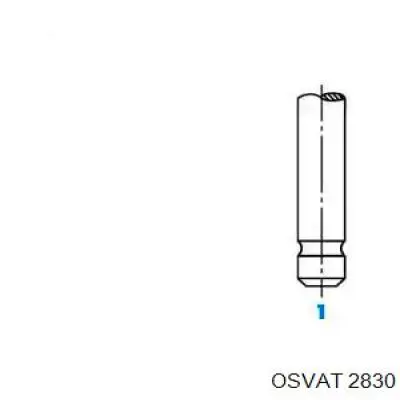 V123003 BGA válvula de escape